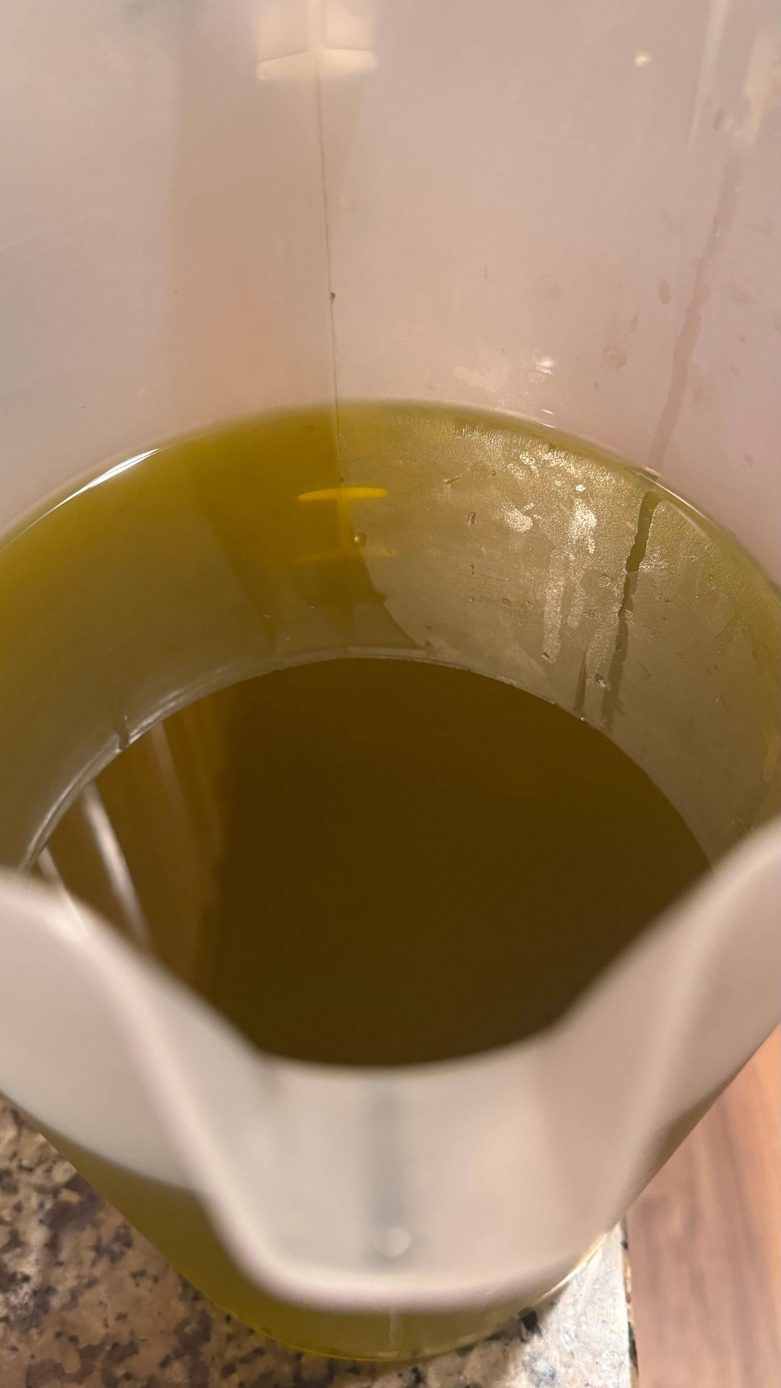 Levanto Extra Virgin Olive Oil 18.7 L Tin Can